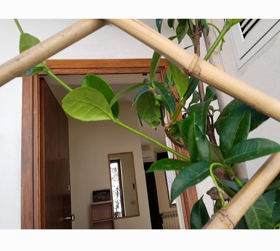 Lo SCRIGNO Bed and Breakfast in Campania