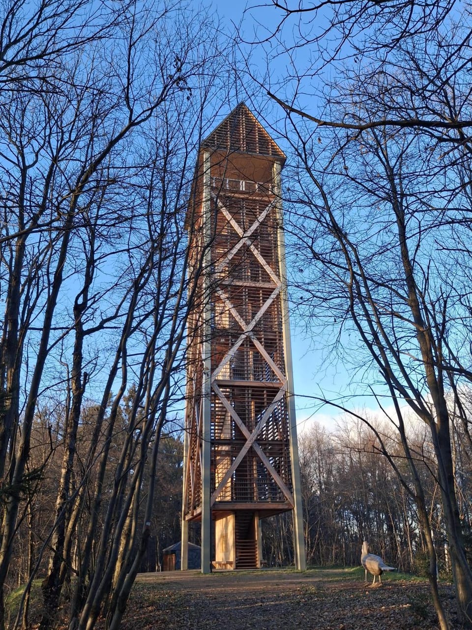 Landmark view