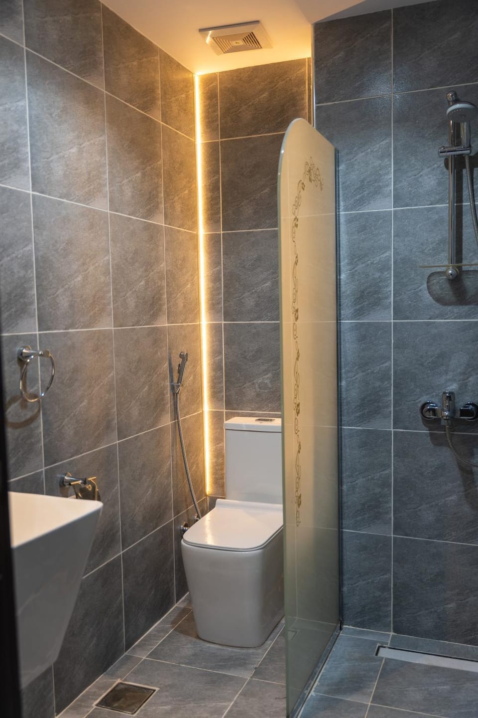 Shower, Toilet, Bathroom, bidet