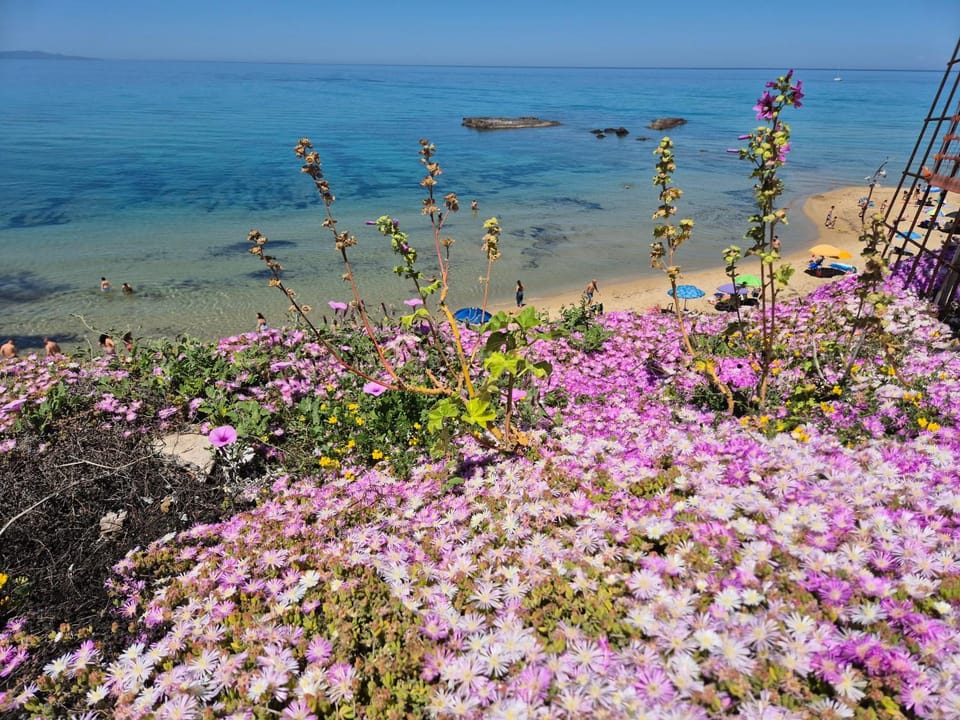 Nearby landmark, Natural landscape, Beach
