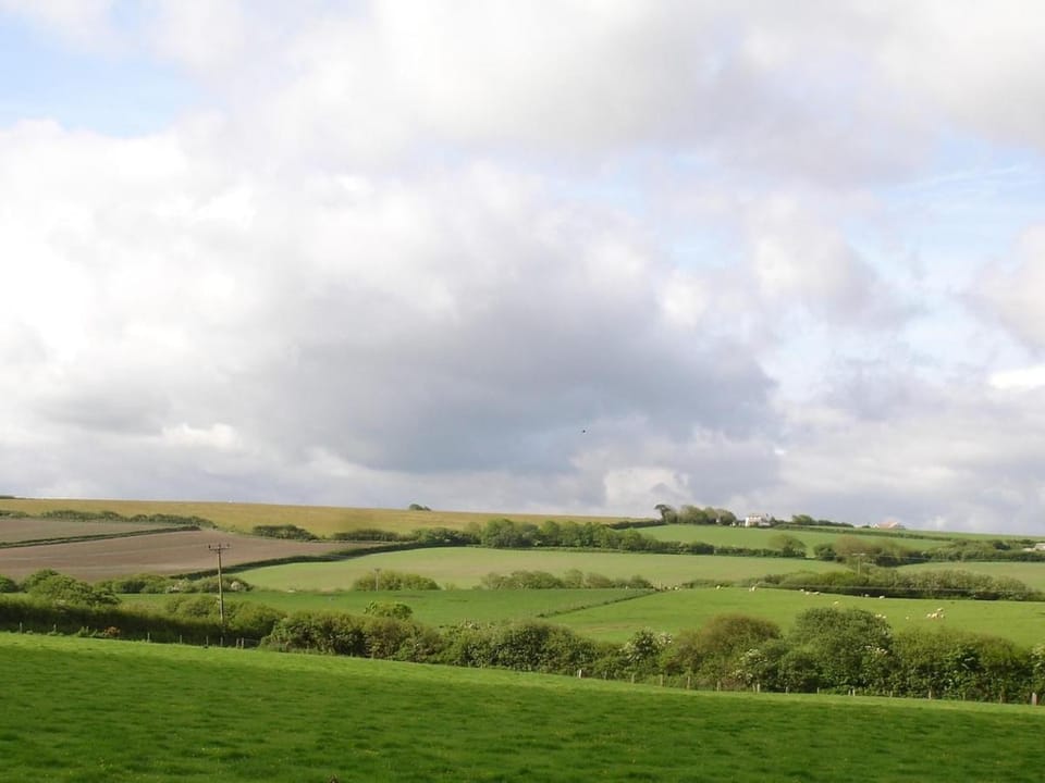 Apple Tree Shepherd's Huts - Blackberry Hut Apartment in England