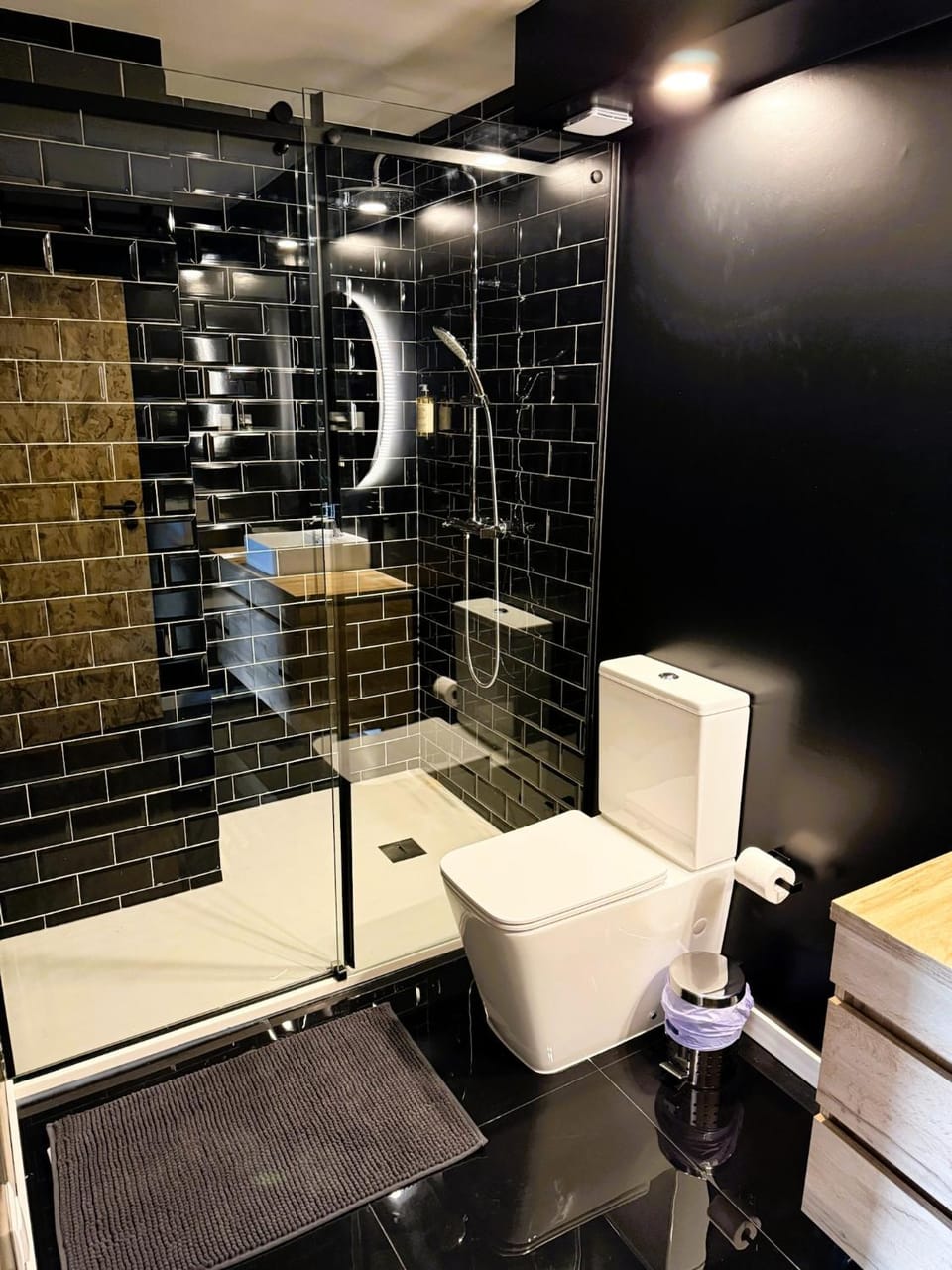 Shower, Toilet, Bathroom, Living room, Seating area