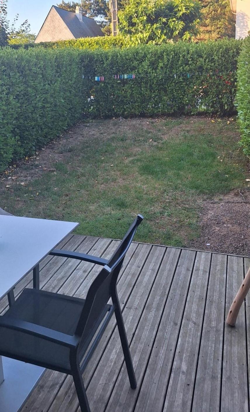 Patio, Garden, Garden view