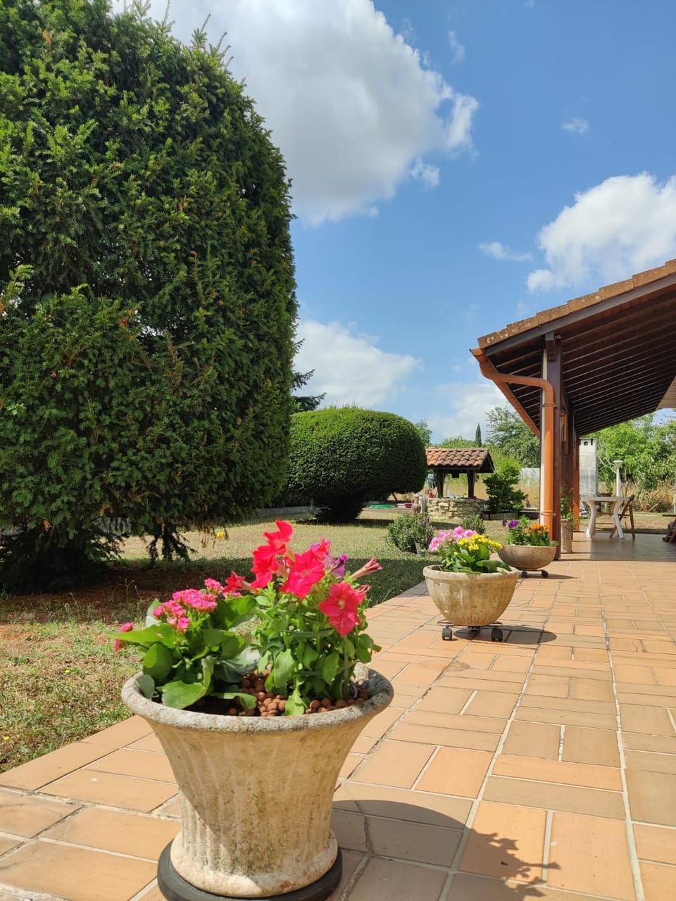 Garden view
