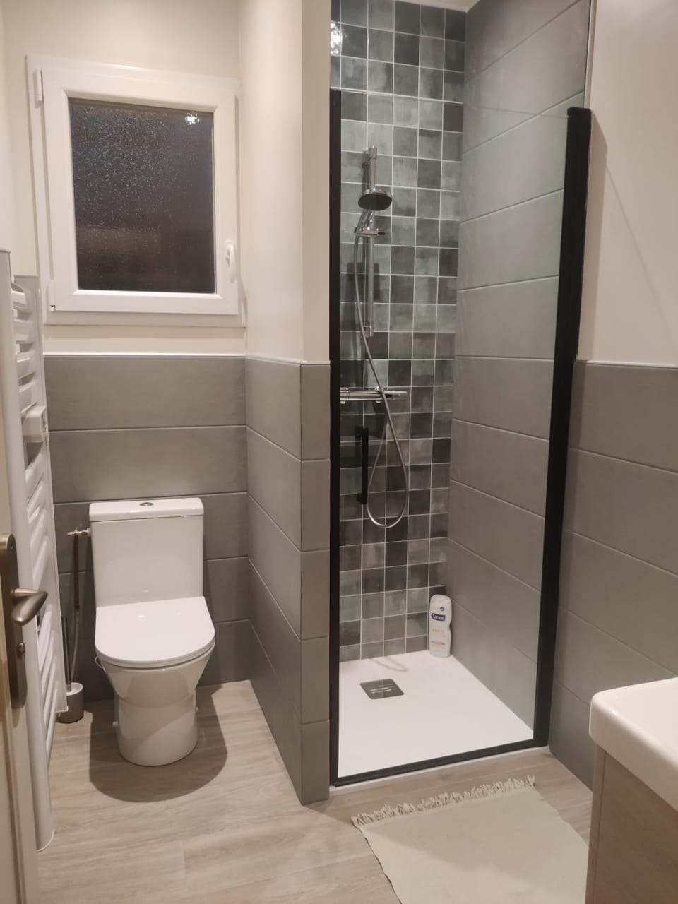 Shower, Toilet, Bathroom, Internal: Not applicable to any particular room