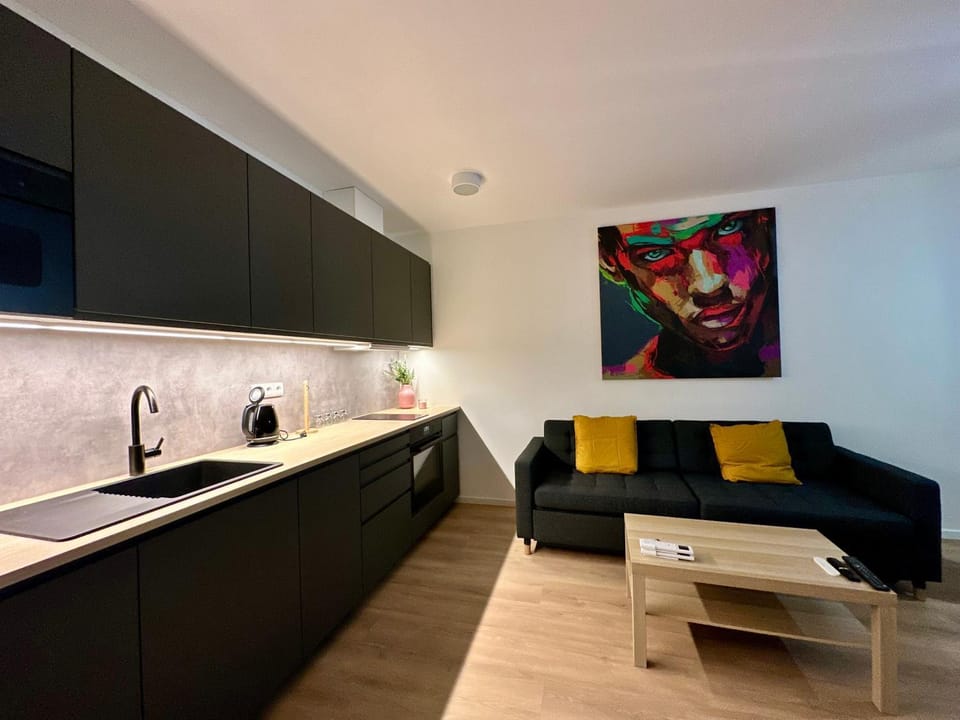 Vivien Modern City Apartment in Brno