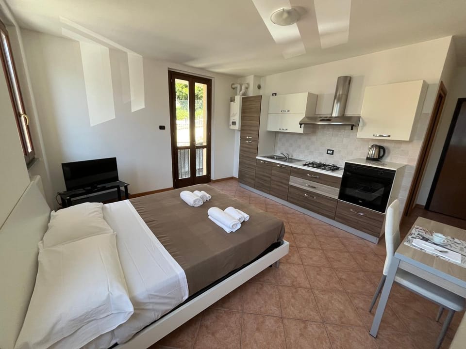 Bed, TV and multimedia, Kitchen or kitchenette, Photo of the whole room, Bedroom, oven, pet friendly, stove, towels