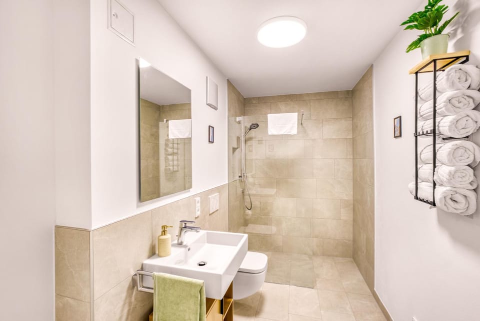 Shower, Toilet, Bathroom, towels