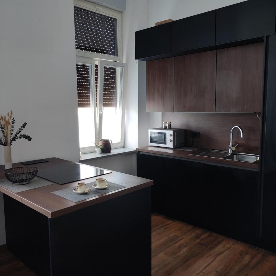 Elegant City Escape Old Town Ptuj Apartment Apartment in Slovenia