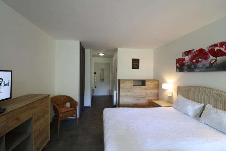 Appartement Belle étoile - Cure, ski & spa Apartment in Auvergne-Rhône-Alpes