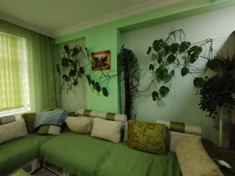 Уютная квартира со всеми удобствами Apartment in Baku