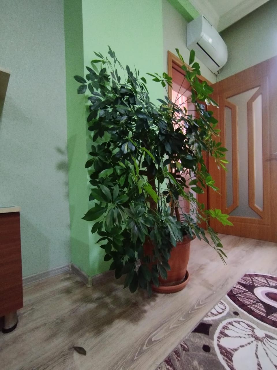 Уютная квартира со всеми удобствами Apartment in Baku