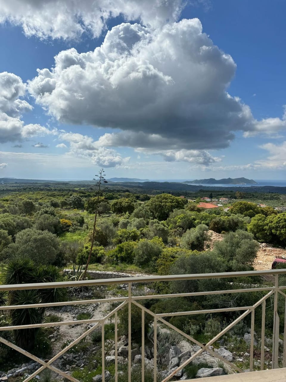 View (from property/room)