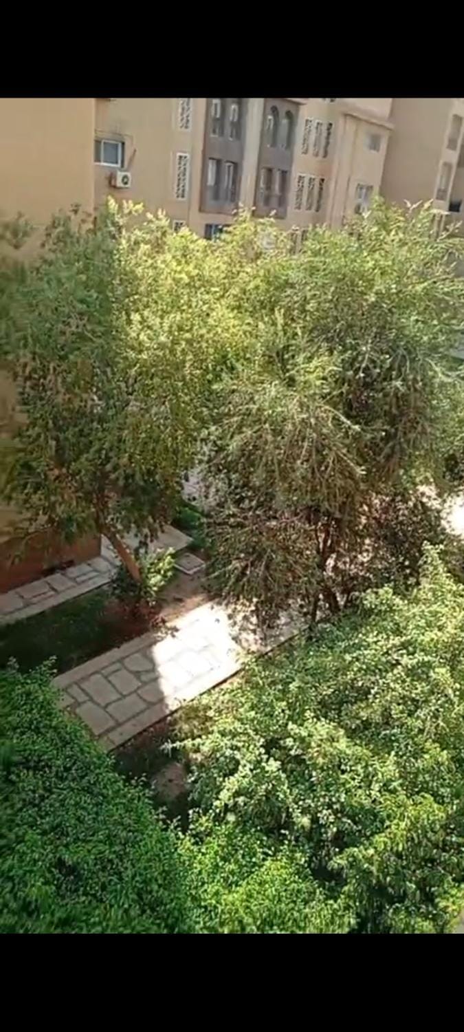 Natural landscape, Garden view