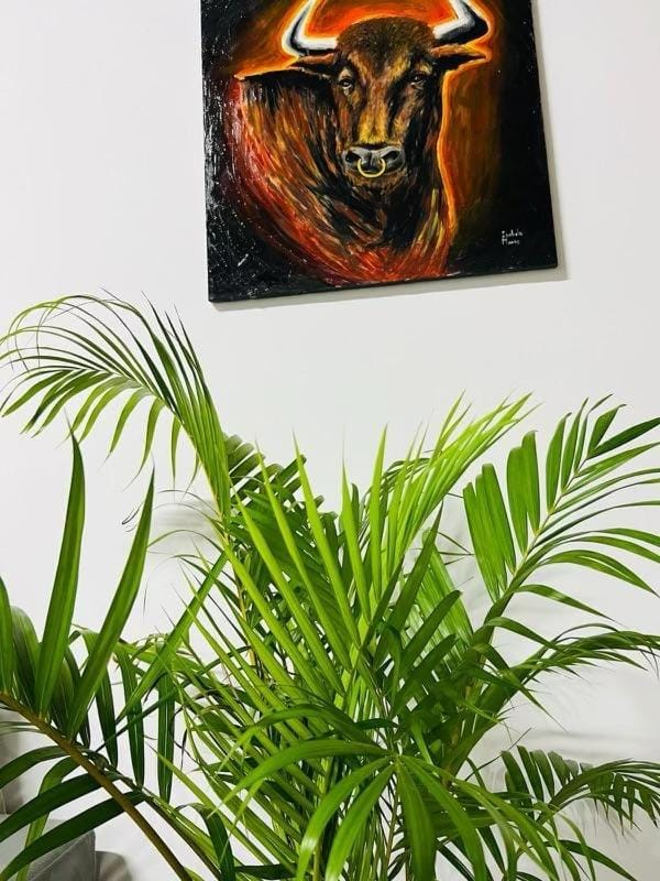 Casa Zuilas Bed and Breakfast in São Luís