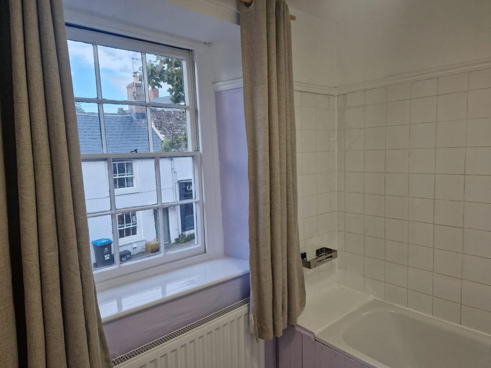 Bathroom, City view