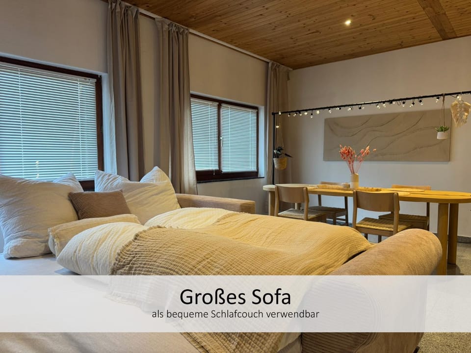 Bed, Living room, Photo of the whole room