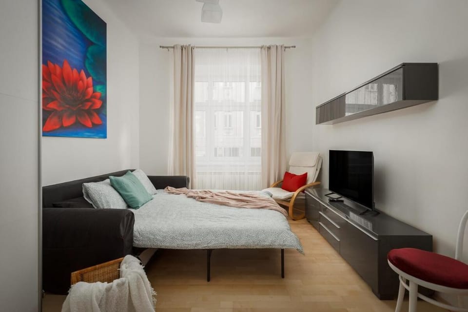 Bed, TV and multimedia, Living room, Bedroom