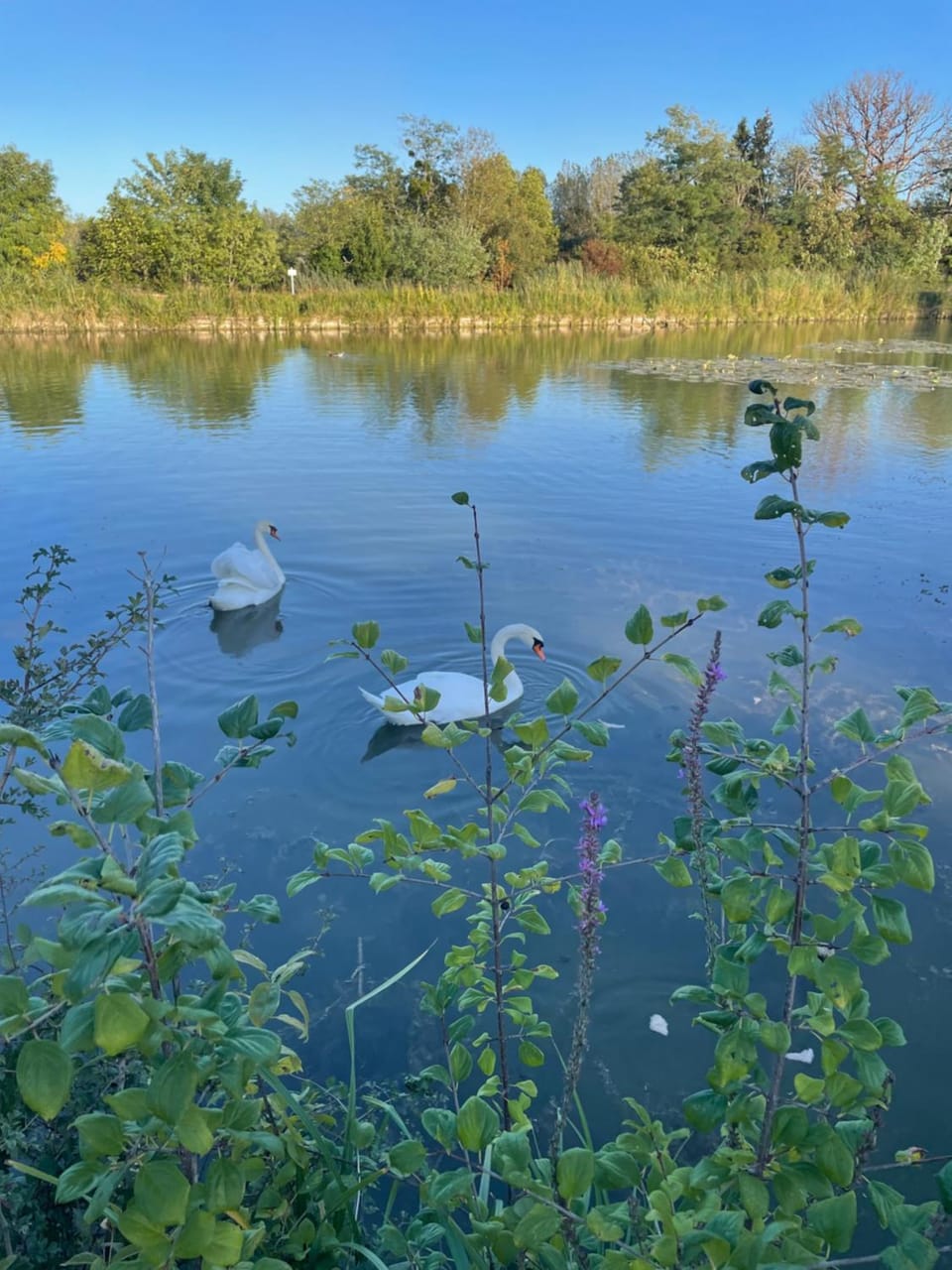 Escapade luxe avec bain nordique privatif au bord du canal Nature lodge in Centre-Val de Loire