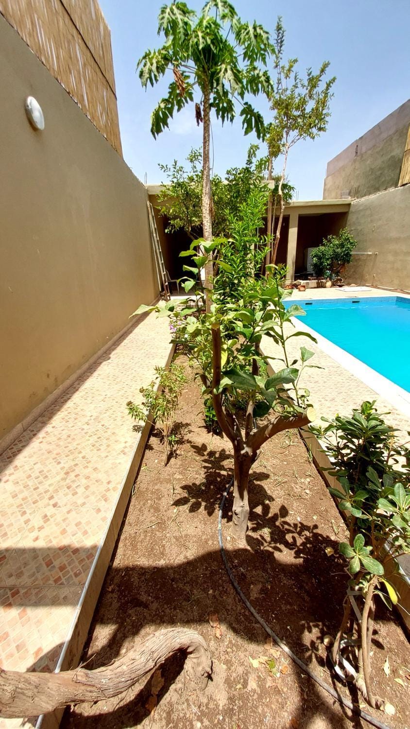 Garden, Garden, Garden view, Pool view, Swimming pool