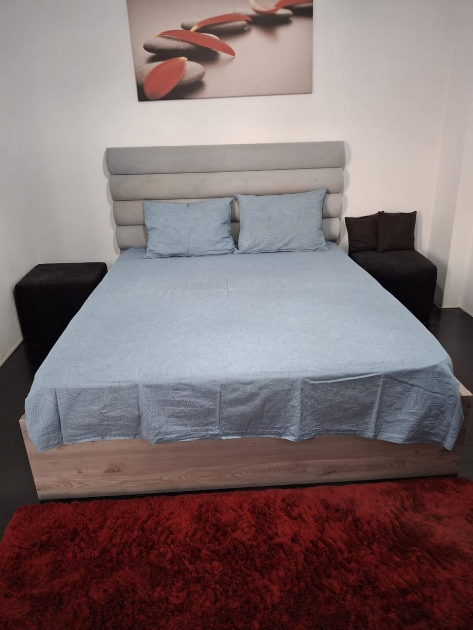 Studio Coral Residence- Mamaia Nord Apartment in Constanta