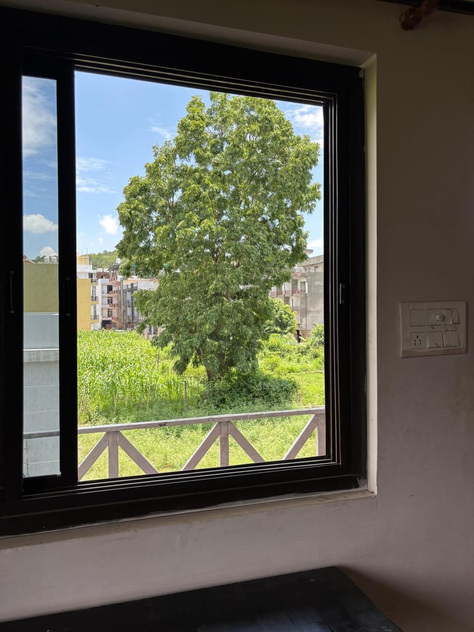 Natural landscape, Garden, Garden view