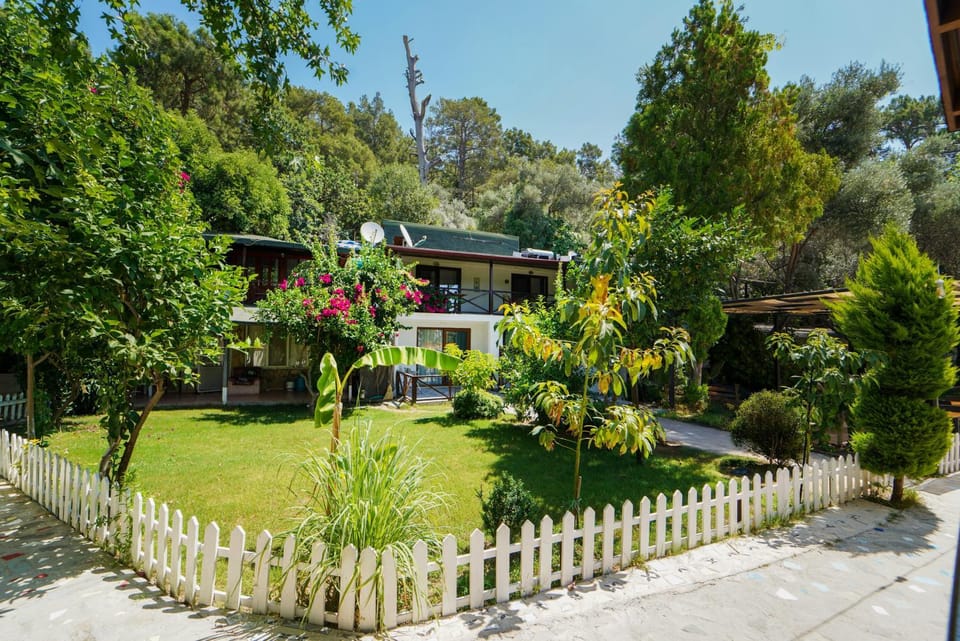 Property building, Natural landscape, Garden view