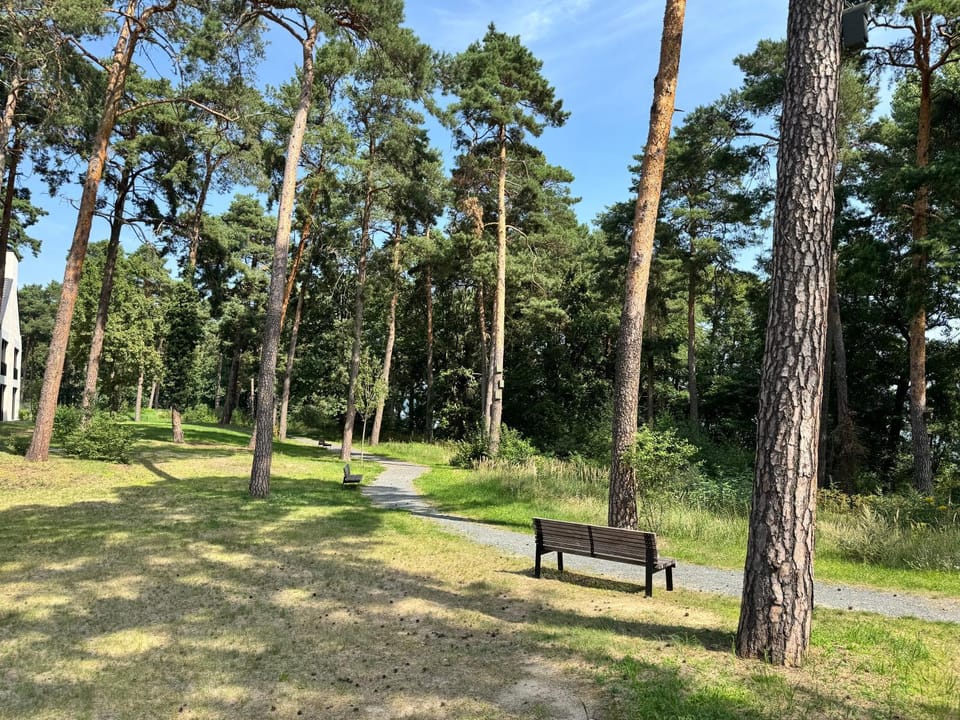 Natural landscape, Garden, Garden view