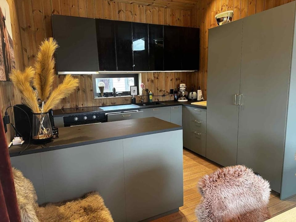 Kitchen or kitchenette, oven, stove