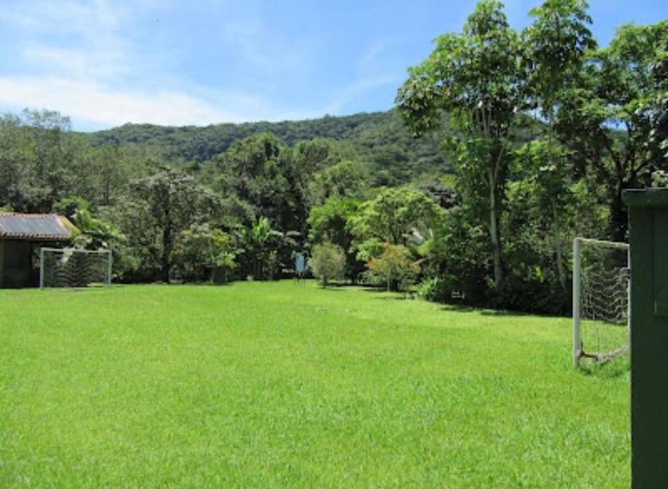 Spring, Day, Natural landscape, Garden, Garden view
