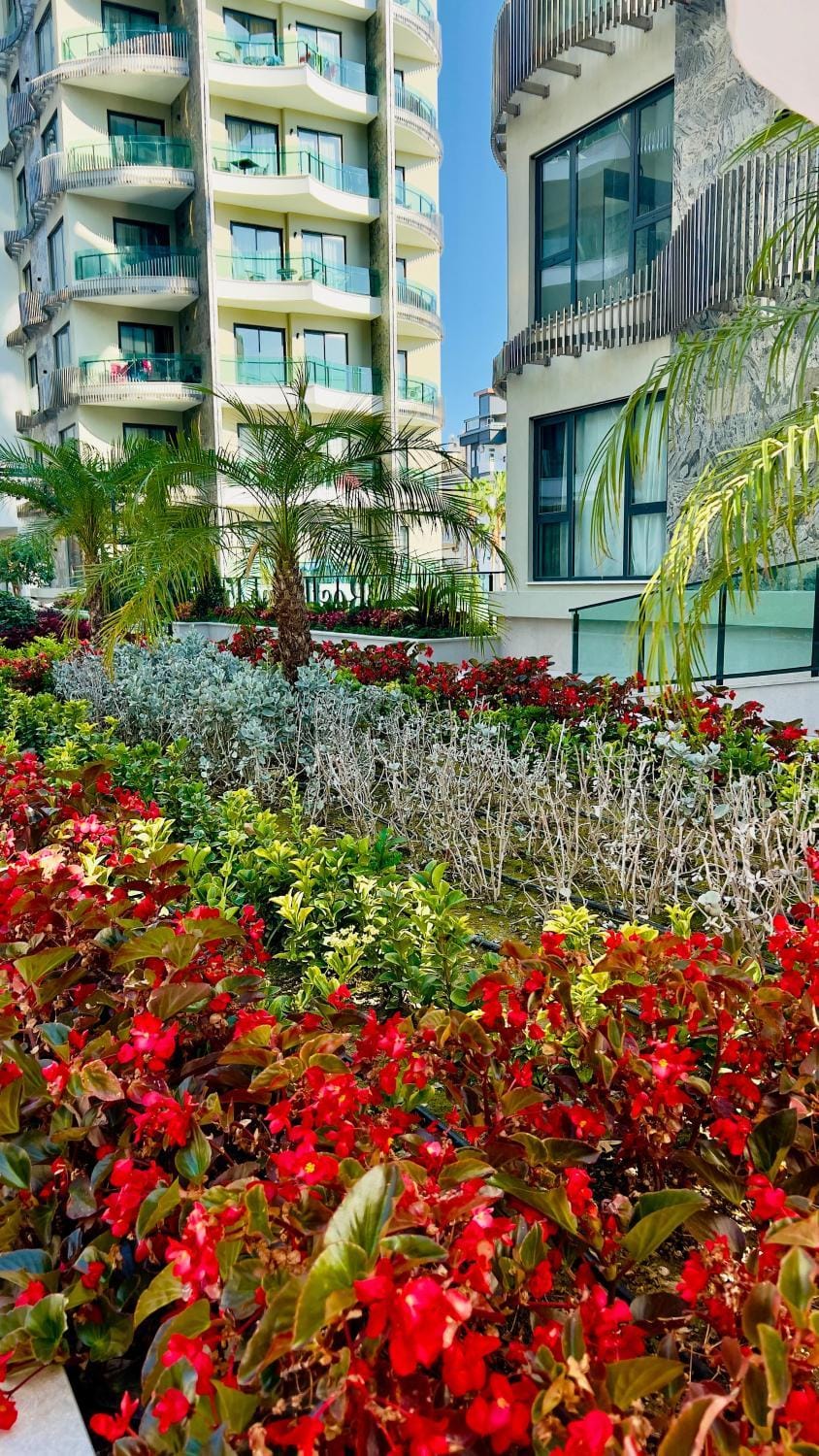 Garden, Garden, Garden view