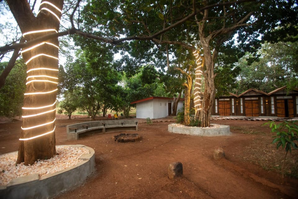 Natural landscape, Garden, Garden, Garden view
