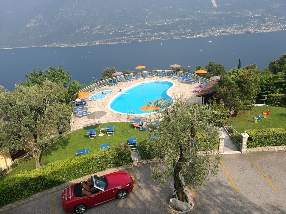 Swimming pool, Swimming pool