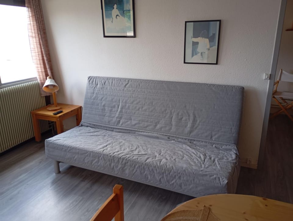 Location saisonnière Apartment in Auvergne-Rhône-Alpes