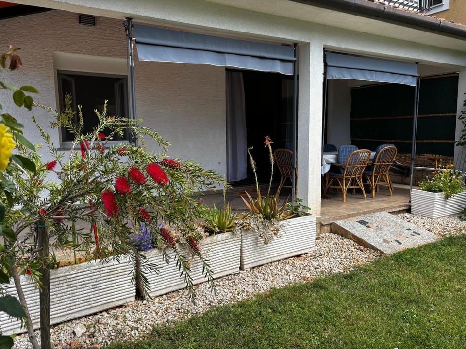 Garden, Balcony/Terrace
