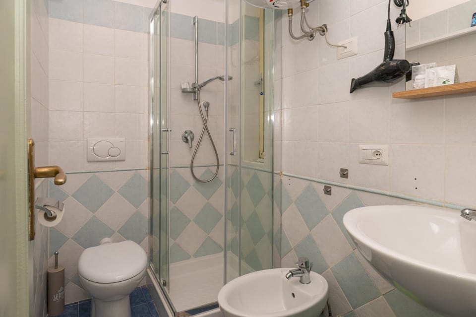 Shower, Toilet, Bathroom, bidet