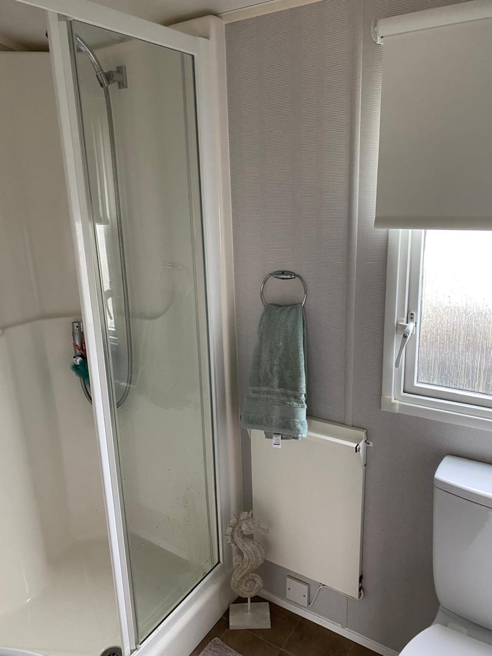 Shower, Toilet
