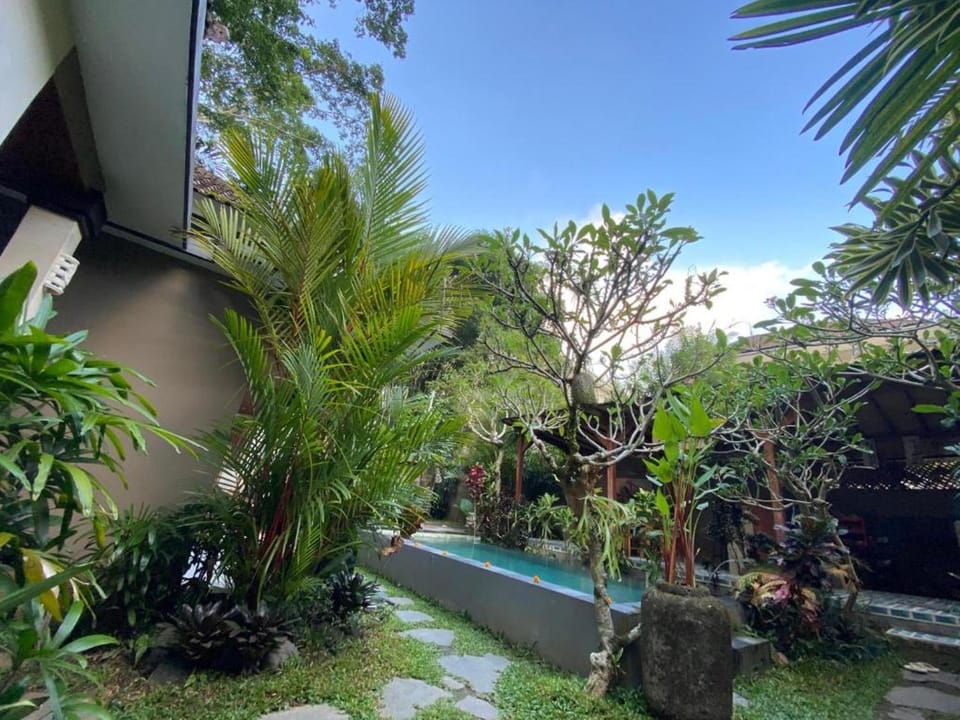 Spring, Day, Natural landscape, Garden, Garden view
