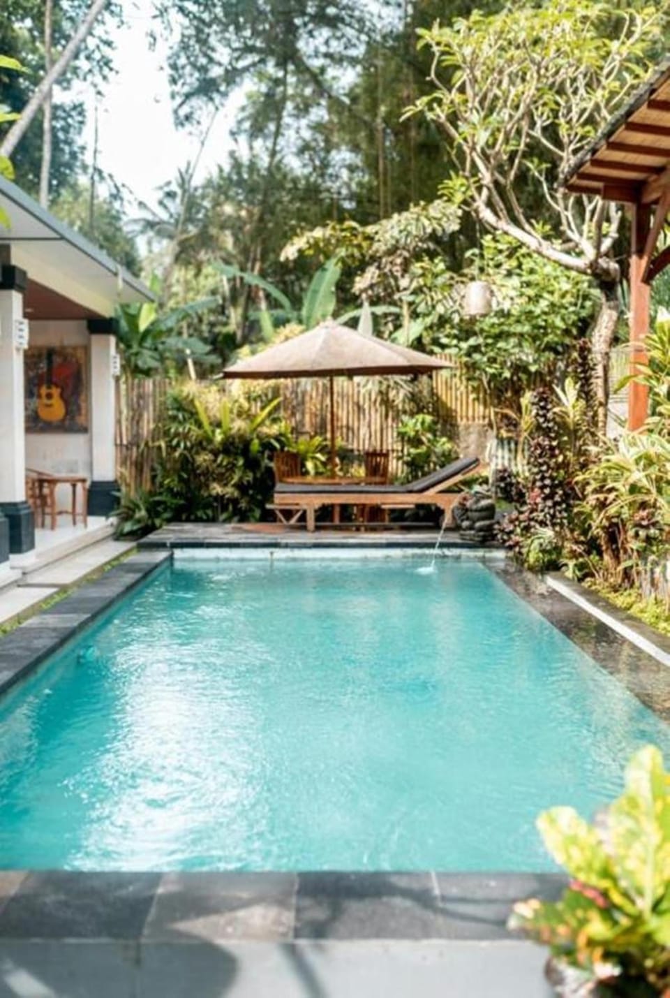 Day, Garden, Garden view, Pool view, Swimming pool, Swimming pool, sunbed