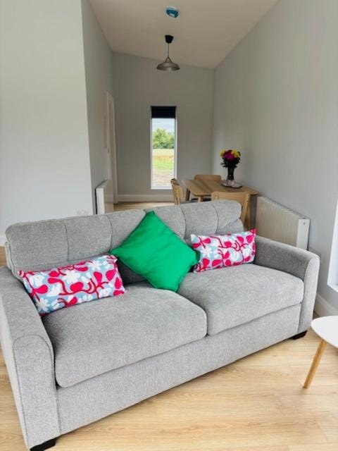 Kildare Holiday Apartments No 2 Apartment in Ireland
