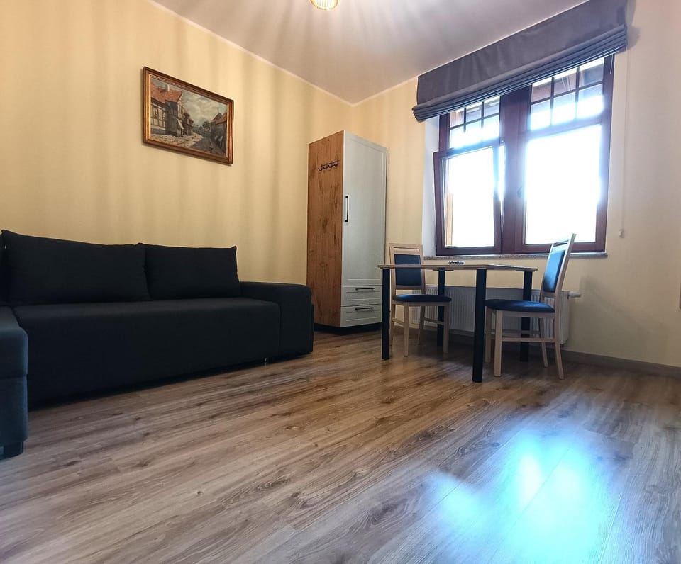 Studio 40 Apartment in Lower Silesian Voivodeship