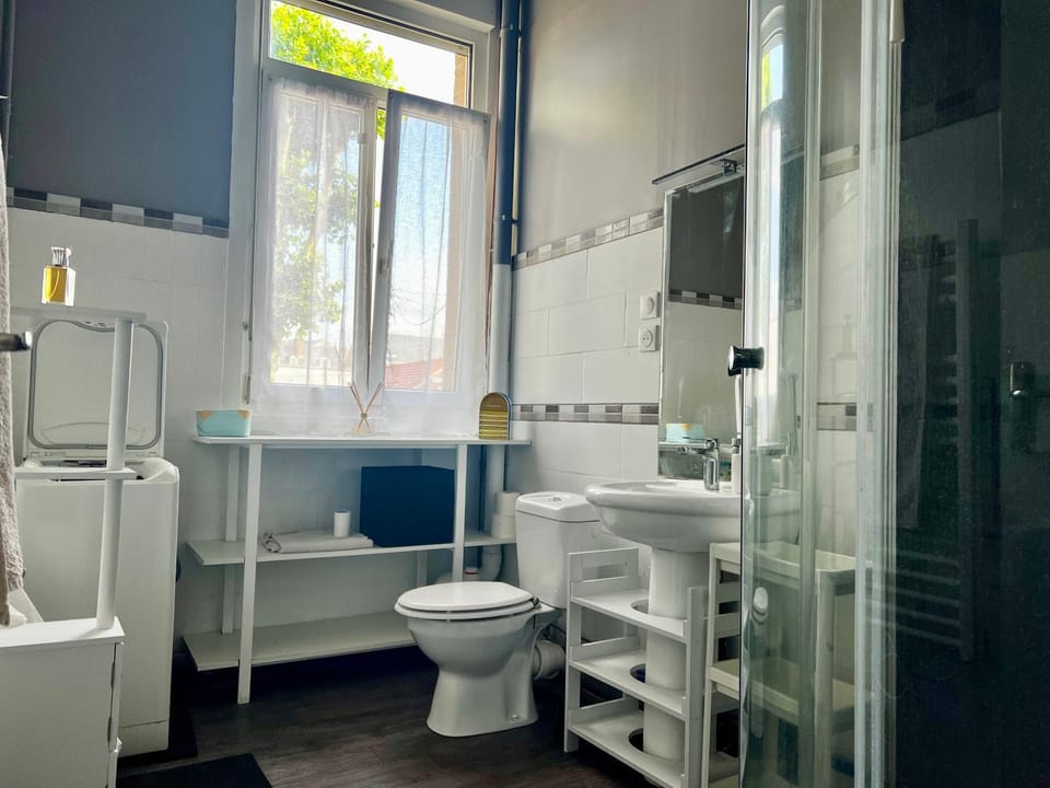 Shower, Toilet, Bathroom, towels