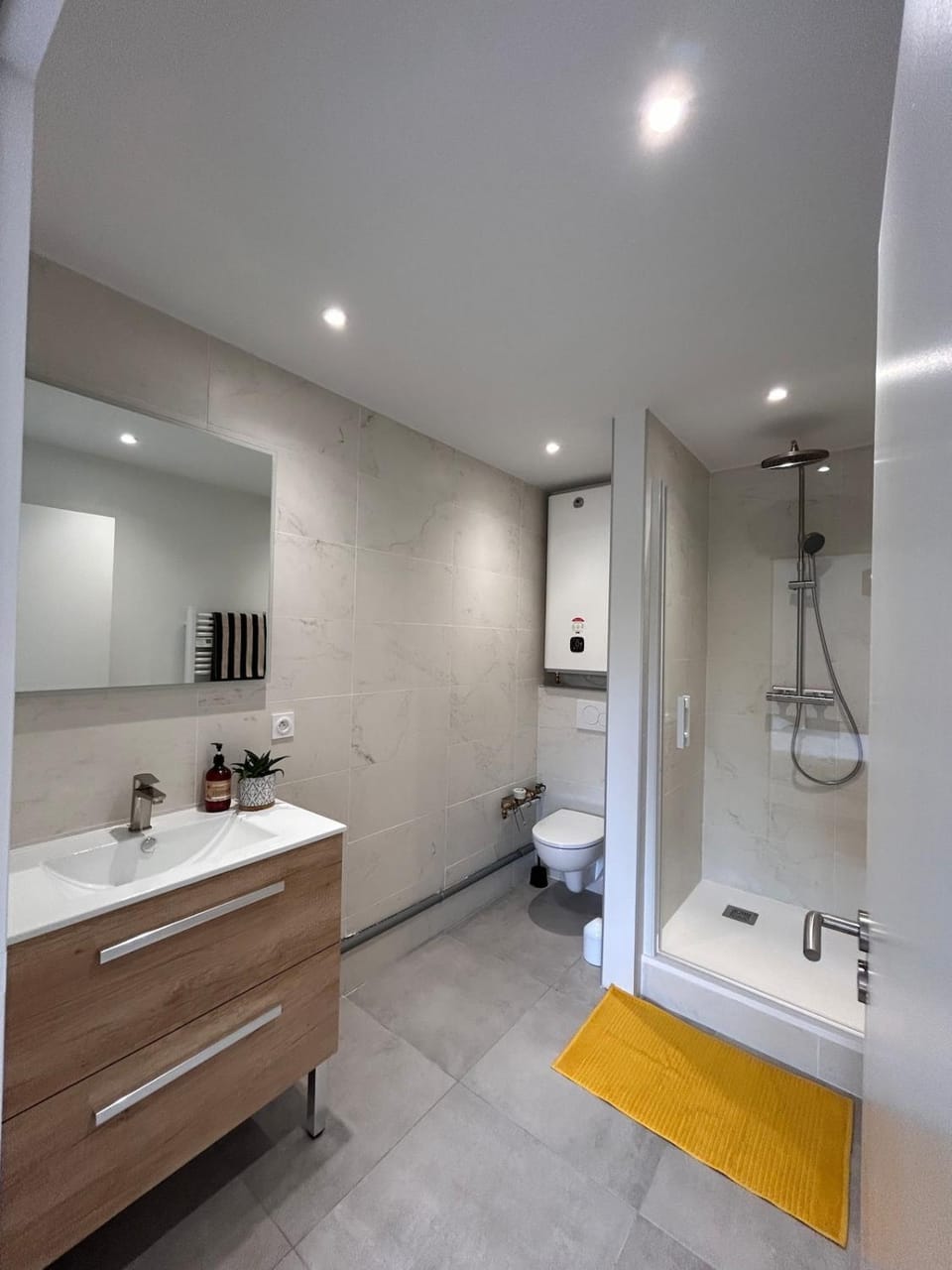Le Camus Apartment in Grenoble