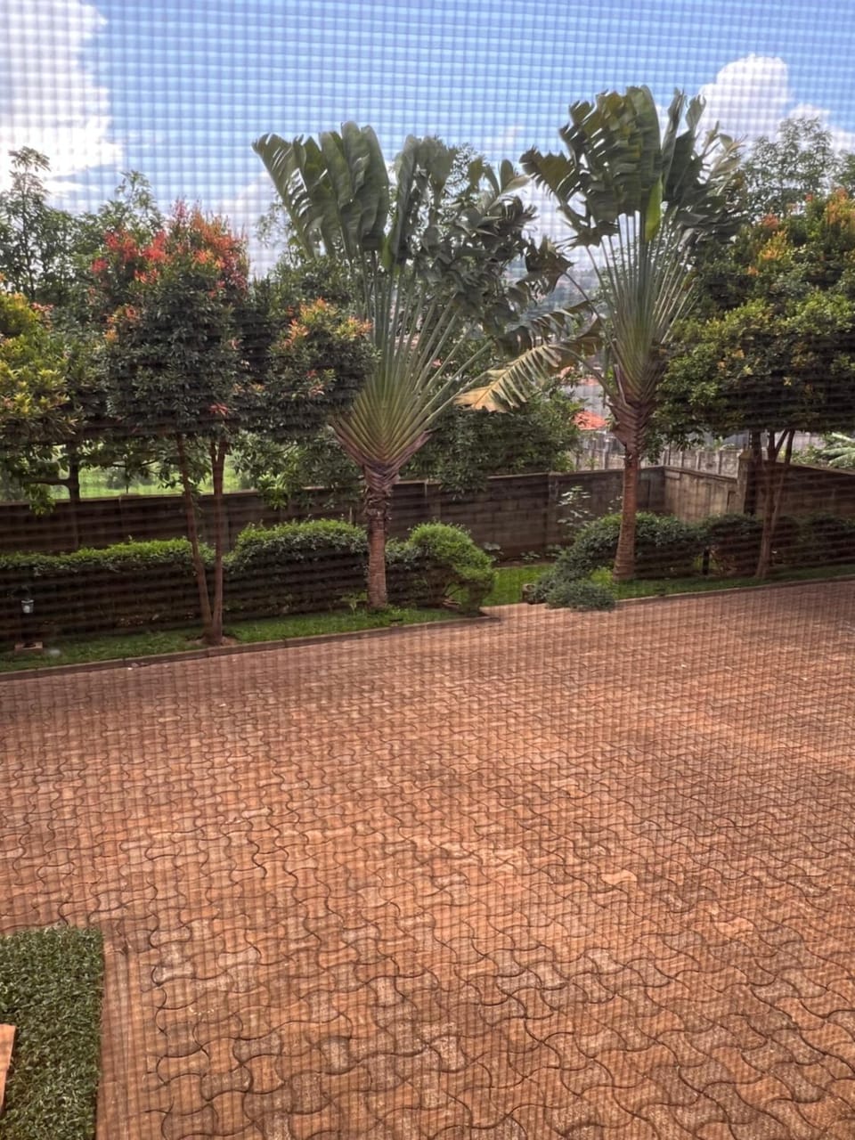 house with a garden Bed and Breakfast in Kampala