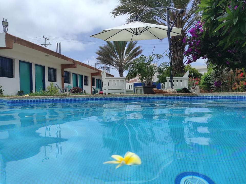 Swimming pool, Swimming pool