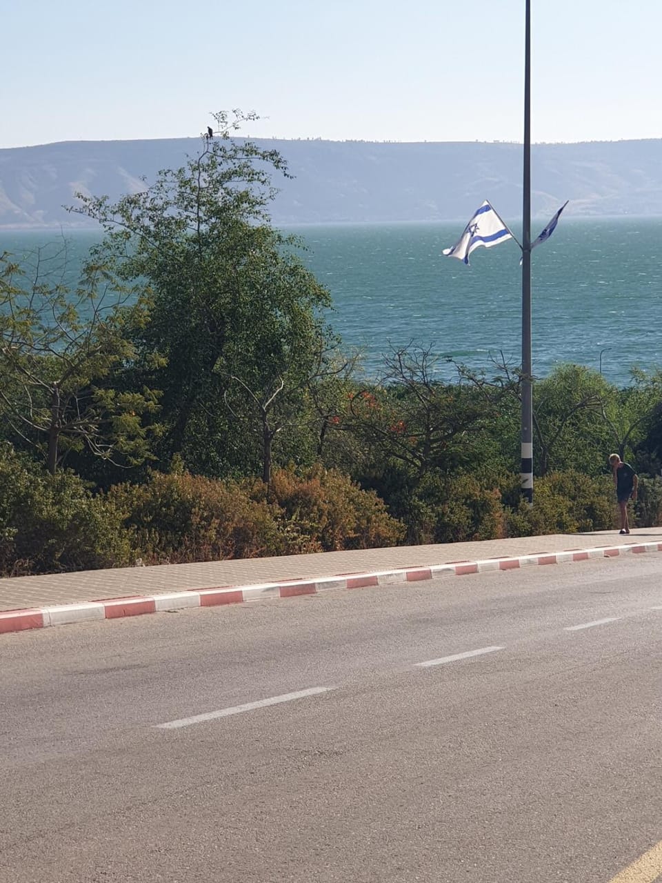 A dream studio apartment by the shores of the Sea of Galilee Apartment in Tiberias