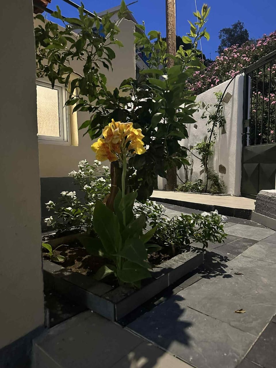 Bazakos Luxury Kampi Beach Studio 1 Apartment in Icaria