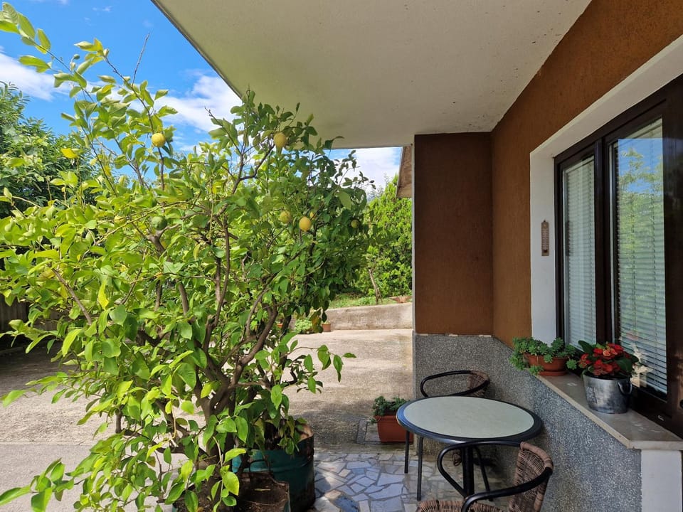 Property building, Patio, View (from property/room)