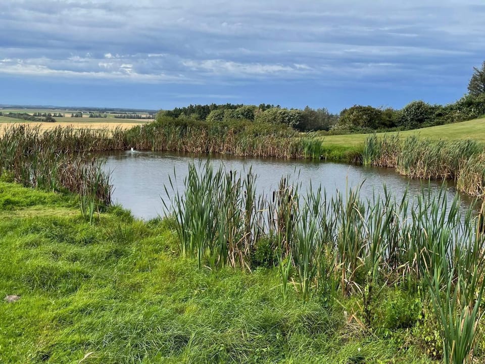 Lake view