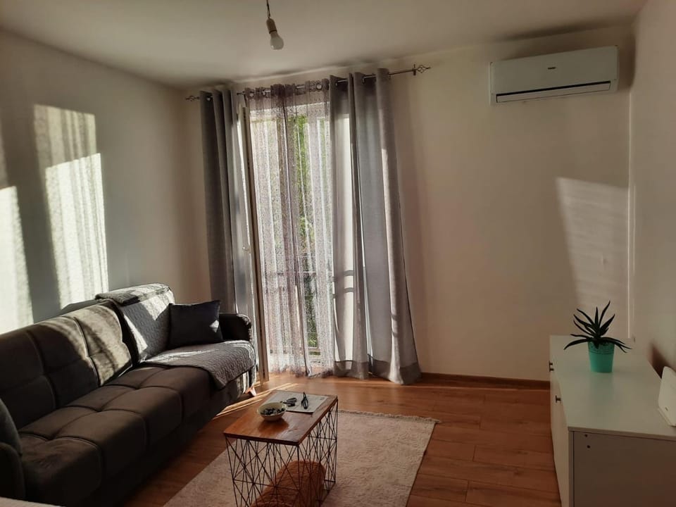 Living room, Seating area, air conditioner